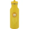 Botella Acero Mr. Lion 500ml · Trixie