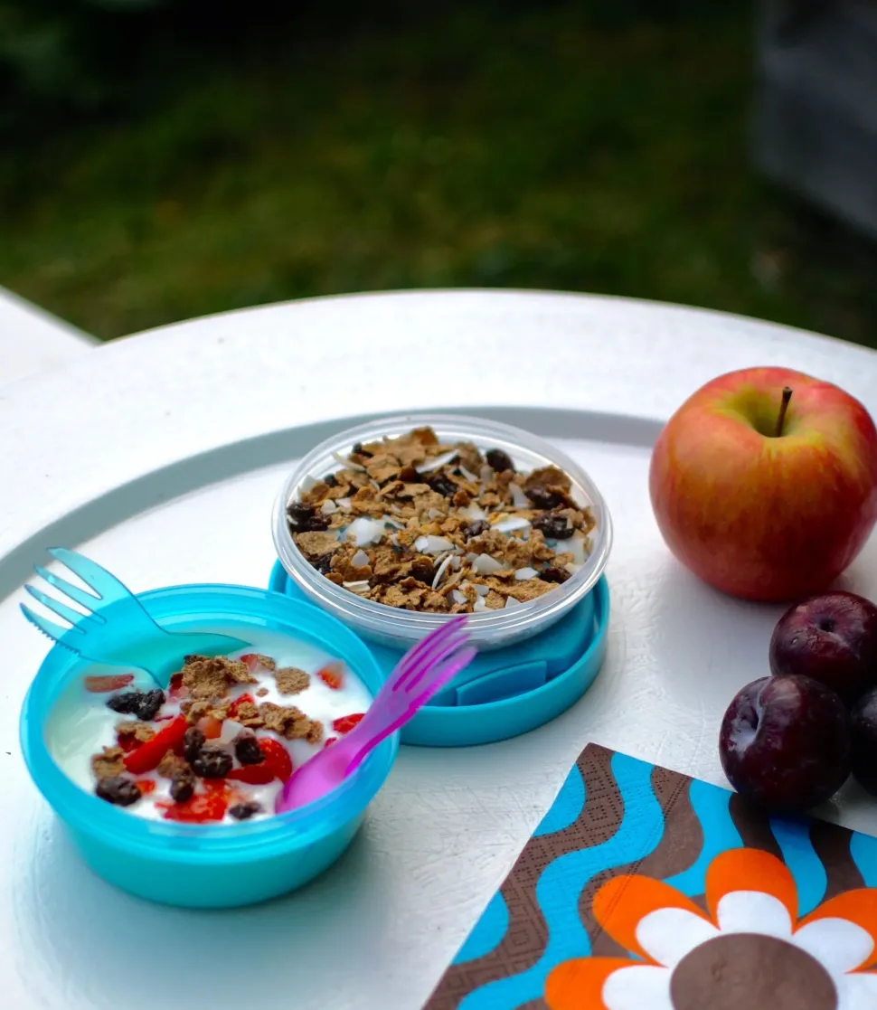 Caja Almuerzo con Tapa Refrigerante N'ice Cup Grey · Carl Oscar