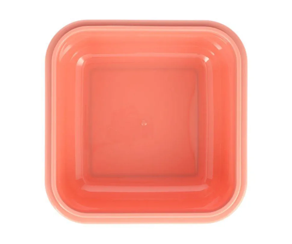 Caja Almuerzo Grande Wild Fairies