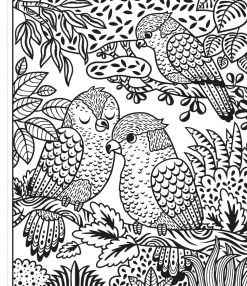 Colorea por arte de magia · Un Zoo