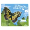 Cometa Mariposa Mini · Moses