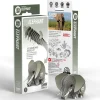 EUGY · Elefante