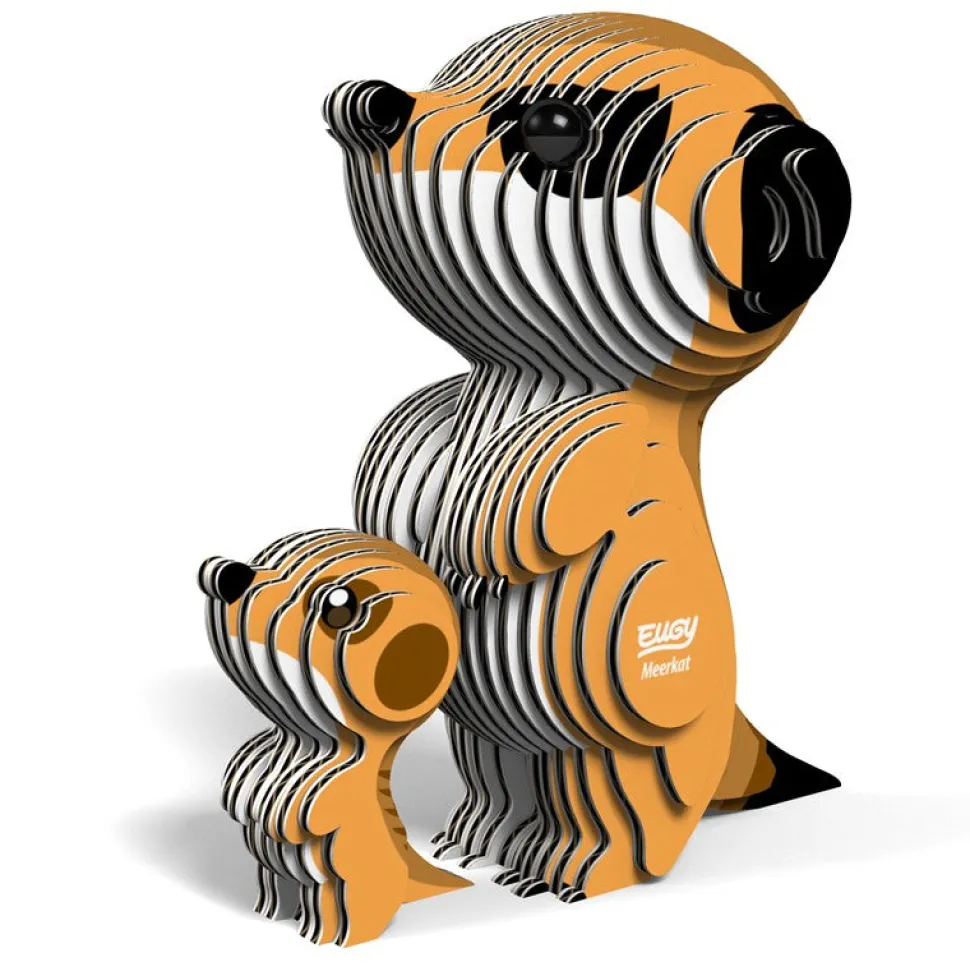 EUGY · Suricata