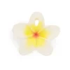 Hawaii The Flower