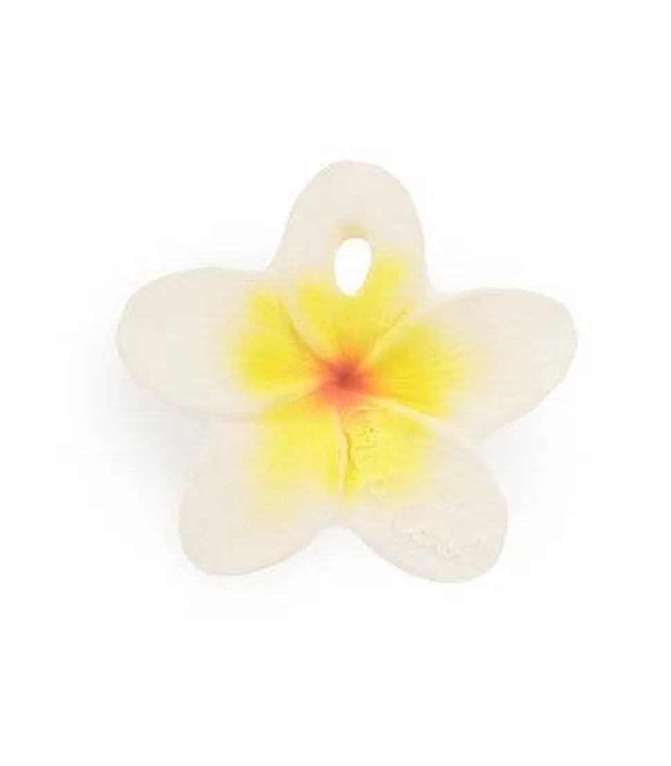 Hawaii The Flower