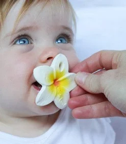 Hawaii The Flower