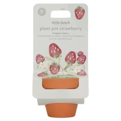Maceta planta Fresas · Little Dutch