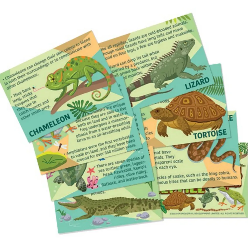 Moldea y Pinta Reptiles y Anfibios · 4M