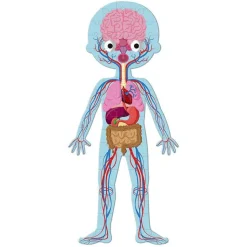 Puzzle · Cuerpo Humano - Janod