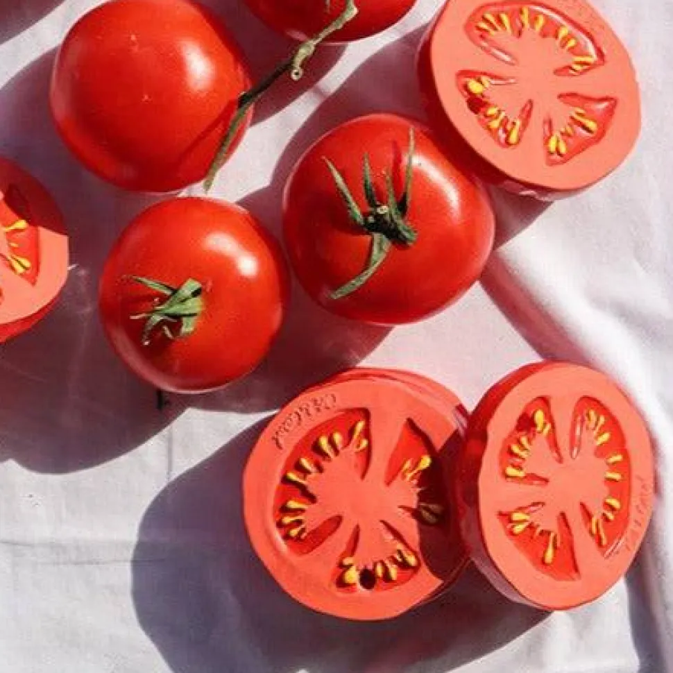 Renato the Tomato