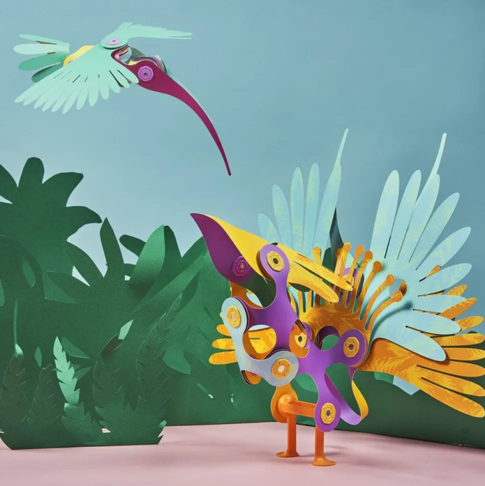 Tropical Birds · Clixo